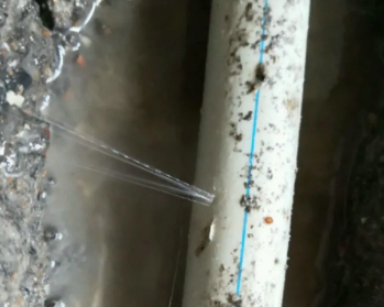 迪庆卫生间测漏水多少钱